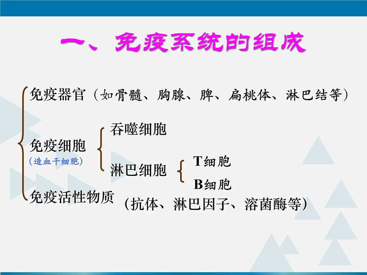人教版 (新课标)高中生物必修3 2-4《免疫调节(第1课时)》课件第7页