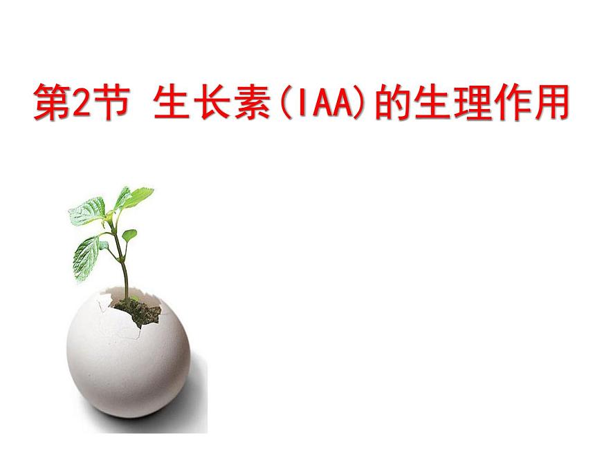 人教版 (新課標)高中生物必修3 3-2《生長素的生理作用》課件第2頁