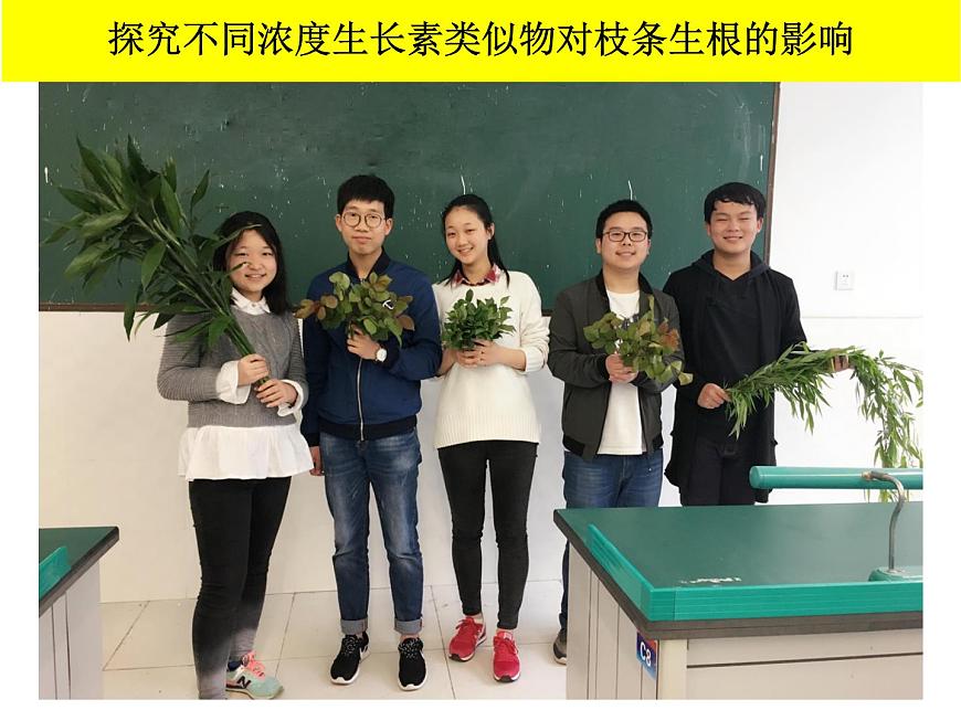 人教版 (新課標)高中生物必修3 3-2《生長素的生理作用》課件第7頁