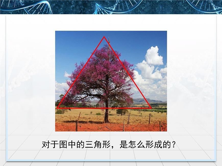 人教版 (新課標)高中生物必修3 3-2《生長素的生理作用》課件第3頁