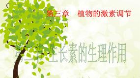 人教版 (新课标)必修3《稳态与环境》生长素的生理作用授课课件ppt