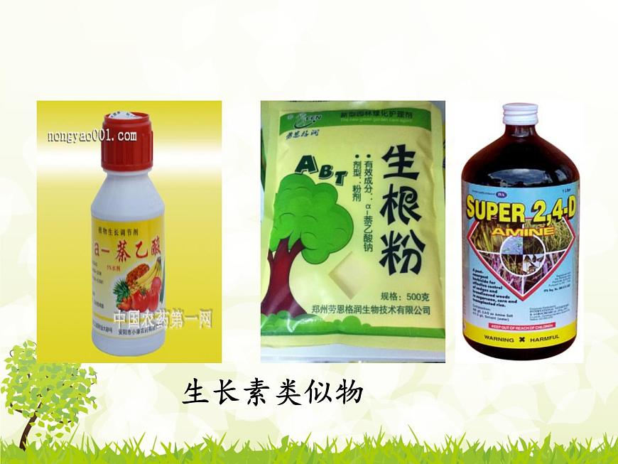 人教版 (新課標(biāo))高中生物必修3 3-2《生長(zhǎng)素的生理作用》課件第2頁(yè)