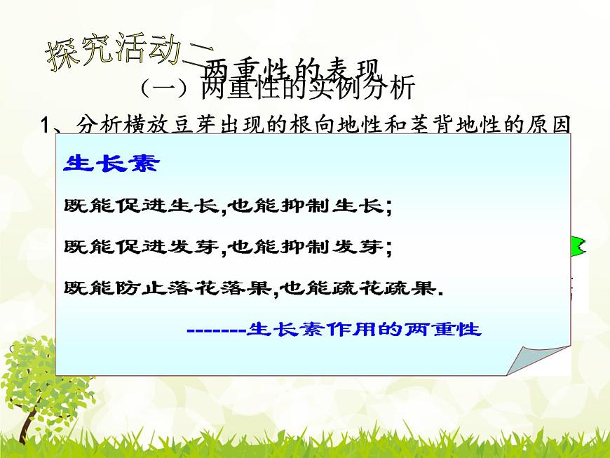 人教版 (新課標(biāo))高中生物必修3 3-2《生長(zhǎng)素的生理作用》課件第5頁(yè)