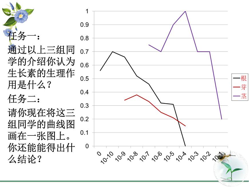 人教版 (新課標(biāo))高中生物必修3 3-2《生長(zhǎng)素的生理作用》課件第3頁(yè)