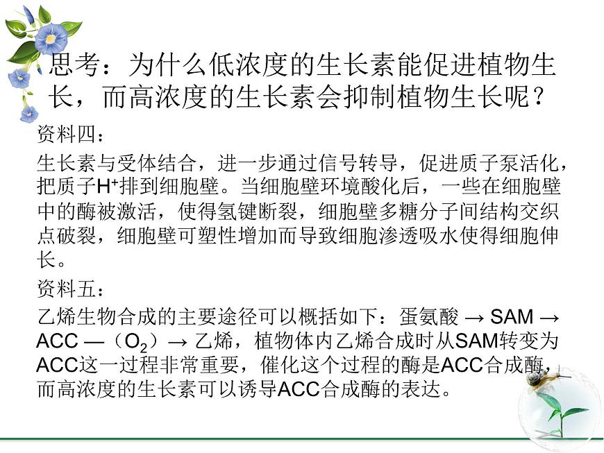 人教版 (新課標(biāo))高中生物必修3 3-2《生長(zhǎng)素的生理作用》課件第6頁(yè)