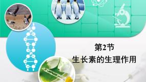 人教版 (新课标)生长素的生理作用复习ppt课件