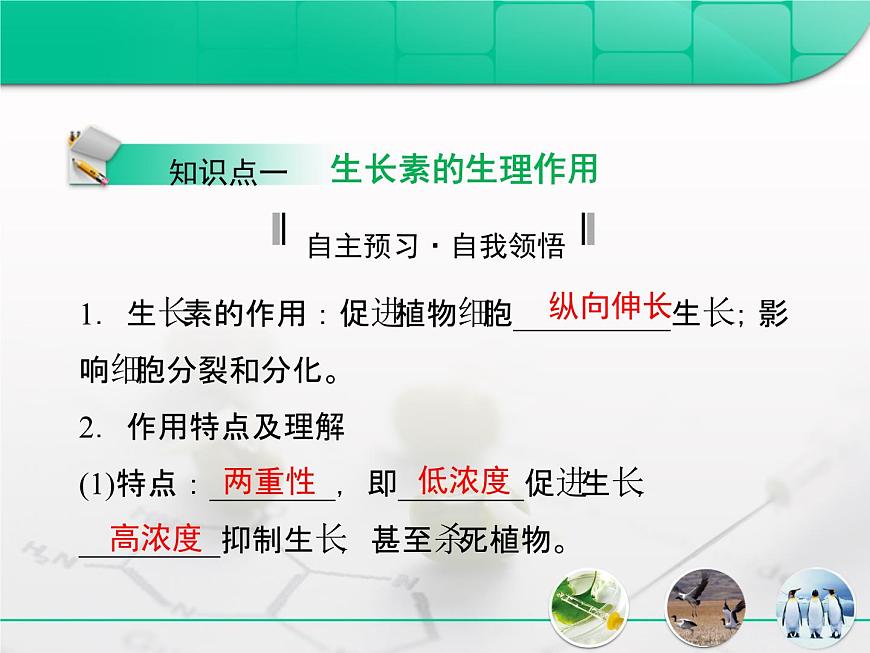 人教版 (新課標(biāo))高中生物必修3 3-3《生長(zhǎng)素的生理作用》復(fù)習(xí)課件第4頁(yè)