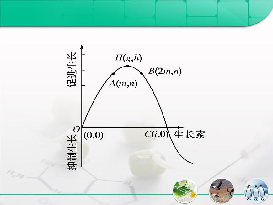 人教版 (新課標(biāo))高中生物必修3 3-3《生長(zhǎng)素的生理作用》復(fù)習(xí)課件第8頁(yè)