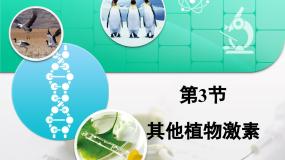 生物必修3《稳态与环境》其他植物激素复习ppt课件