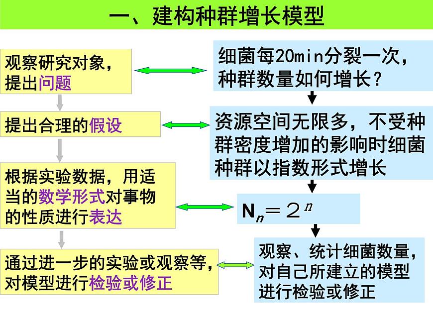 人教版 (新課標(biāo))高中生物必修3 4-2《種群數(shù)量的變化》課件第7頁