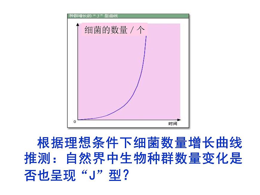 人教版 (新課標(biāo))高中生物必修3 4-2《種群數(shù)量的變化》課件第8頁