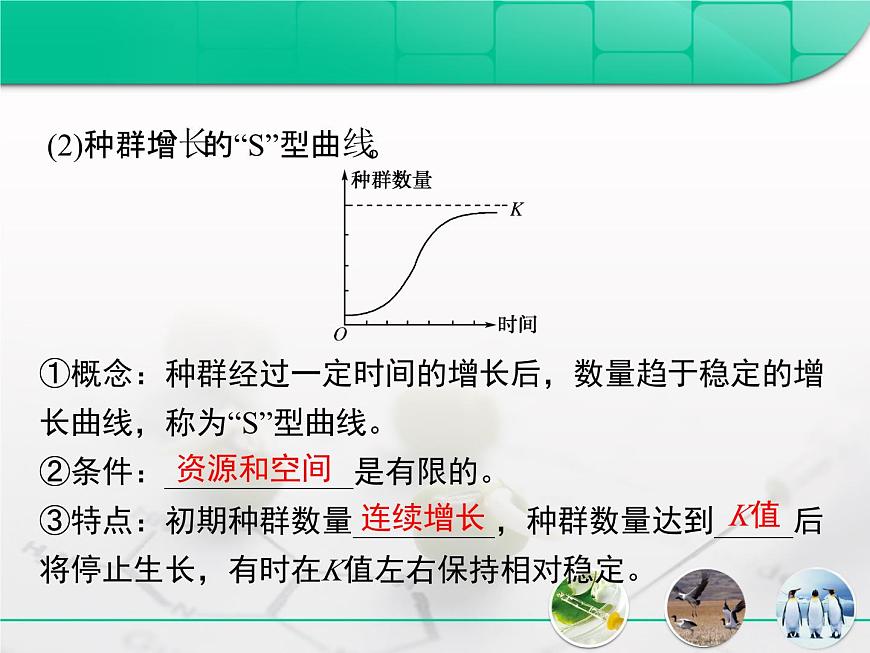 人教版 (新課標(biāo))高中生物必修3 4-2《種群數(shù)量的變化》復(fù)習(xí)課件第7頁(yè)