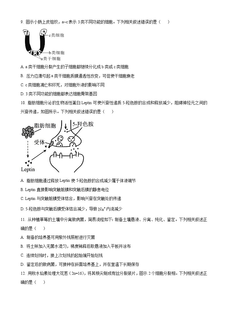 2025年高考真题——生物(江苏卷) Word版无答案第3页