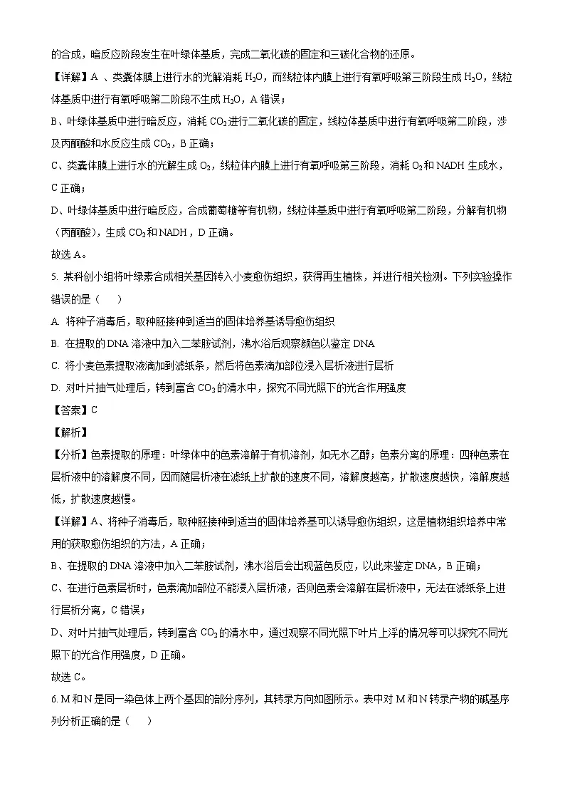 2025高考河北卷生物真题试卷(解析版)第3页