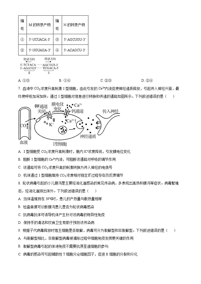 2025高考河北卷生物真题试卷(原卷版)第2页