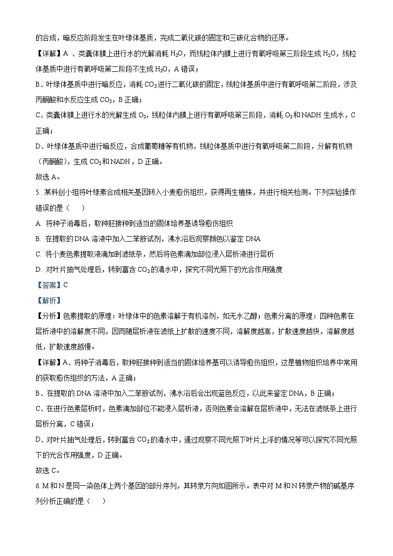 精品解析:2025高考河北卷生物真题试卷(解析版)第3页