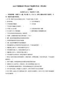 2025年高考河北卷生物高考真题含答案解析（参考版）