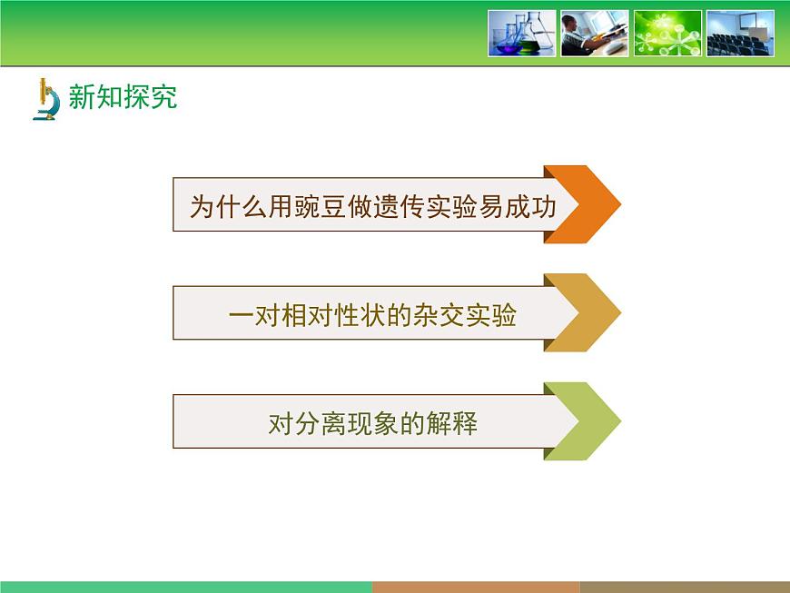 人教版 (新课标)高中生物 必修2 1-1《孟德尔的豌豆杂交实验(一)》第1课时教学课件第7页