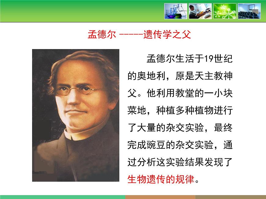 人教版 (新课标)高中生物 必修2 1-1《孟德尔的豌豆杂交实验(一)》第1课时教学课件第8页