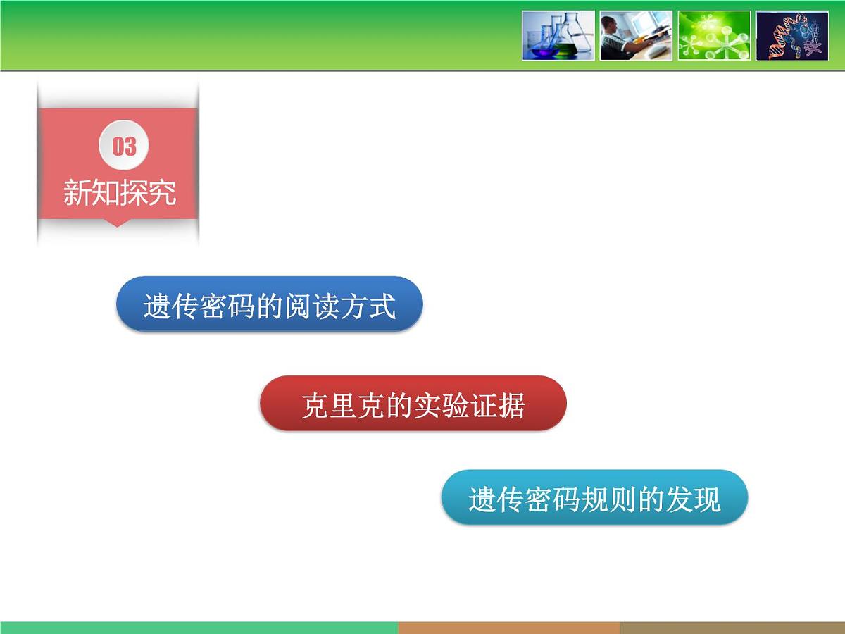 人教版 (新课标)高中生物必修2 4-3《遗传密码的破译》课件第5页