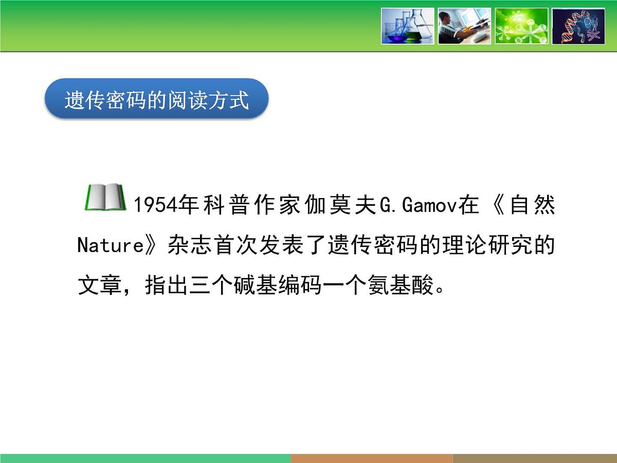 人教版 (新课标)高中生物必修2 4-3《遗传密码的破译》课件第6页