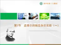 人教版 (新課標)高中生物 必修2 1-1《孟德爾的豌豆雜交實驗（一）》復習課件