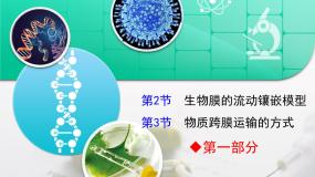 高中生物人教版 (新课标)必修1《分子与细胞》物质跨膜运输的实例一等奖复习课件ppt