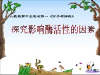 人教版 (新課標(biāo))高中生物必修1 5-1《降低化學(xué)反應(yīng)活化能的酶》（第2課時(shí)）課件