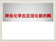 人教版 (新課標(biāo))高中生物必修1 5-1《降低化學(xué)反應(yīng)活化能的酶（第1課時(shí)）》課件