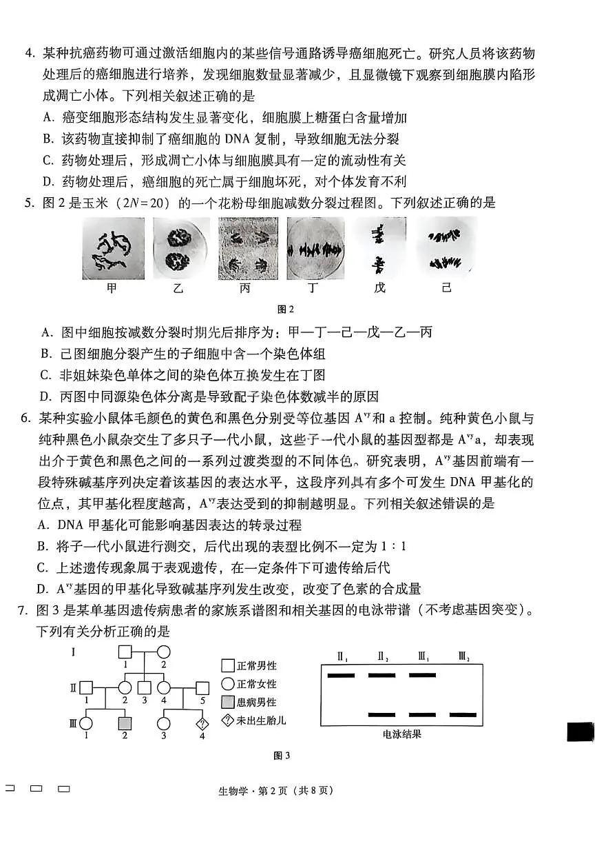 生物试卷-2026届贵州省六校联盟高三高考实用性联考卷(一)第2页