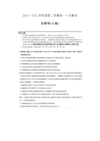 安徽省县中联盟2024级高一下5月联考生物试卷含答案