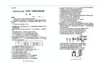 河北省雄安新区2024-2025学年高一下学期6月期末生物试题