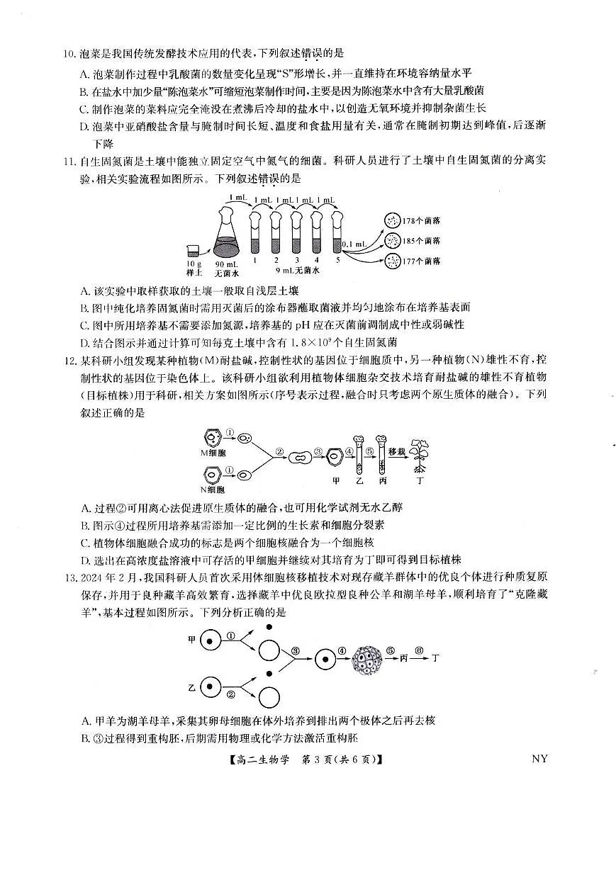 河南省南阳市九师联盟2024-2025学年高二下学期6月期末生物试题第3页