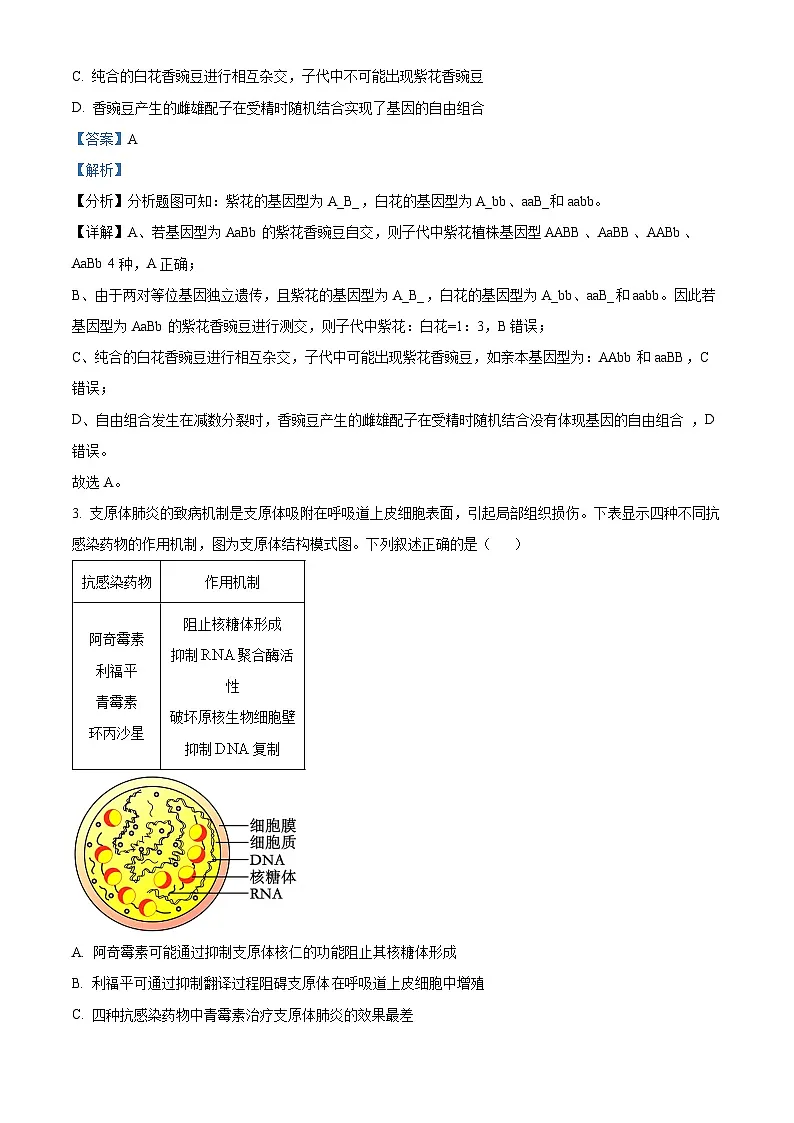 精品解析:湖南省汨罗市第一中学2023-2024学年高一下学期期末考试生物试题(解析版)第2页
