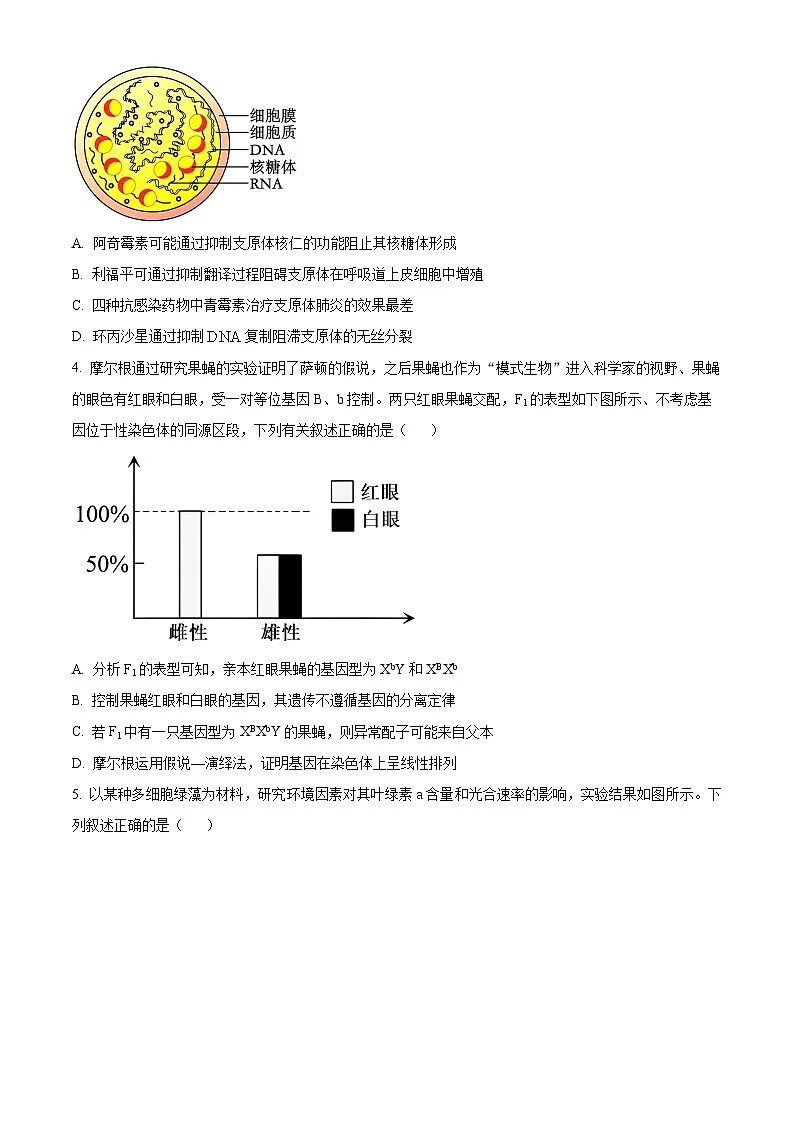 精品解析:湖南省汨罗市第一中学2023-2024学年高一下学期期末考试生物试题(原卷版)第2页