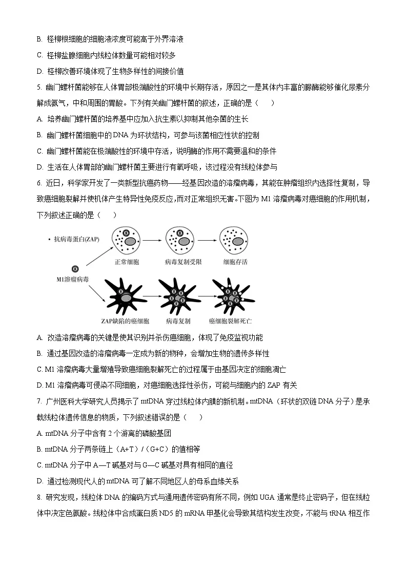 精品解析:湖南省张家界市2023-2024学年高二下学期期末考试生物试题(原卷版)第2页