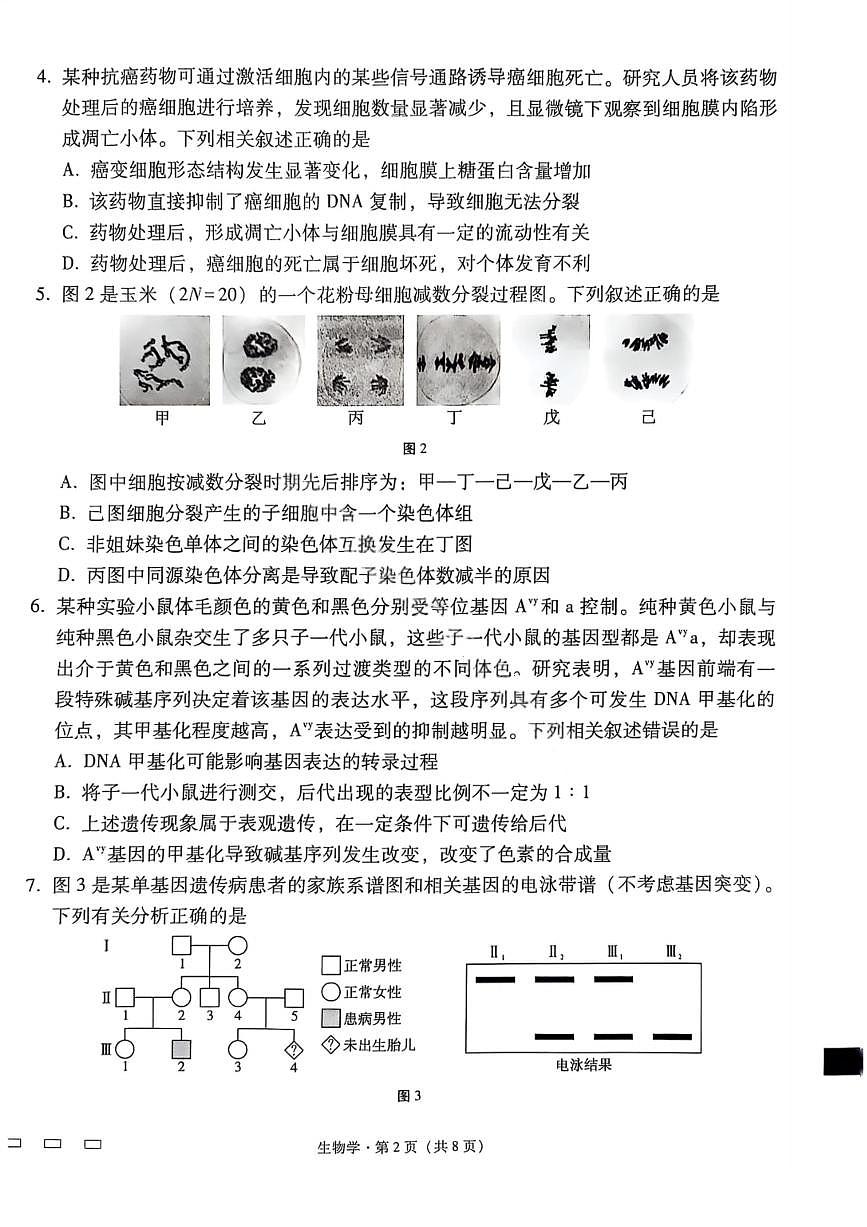 生物-2026届贵州省六校联盟高三高考实用性联考卷(一)第2页