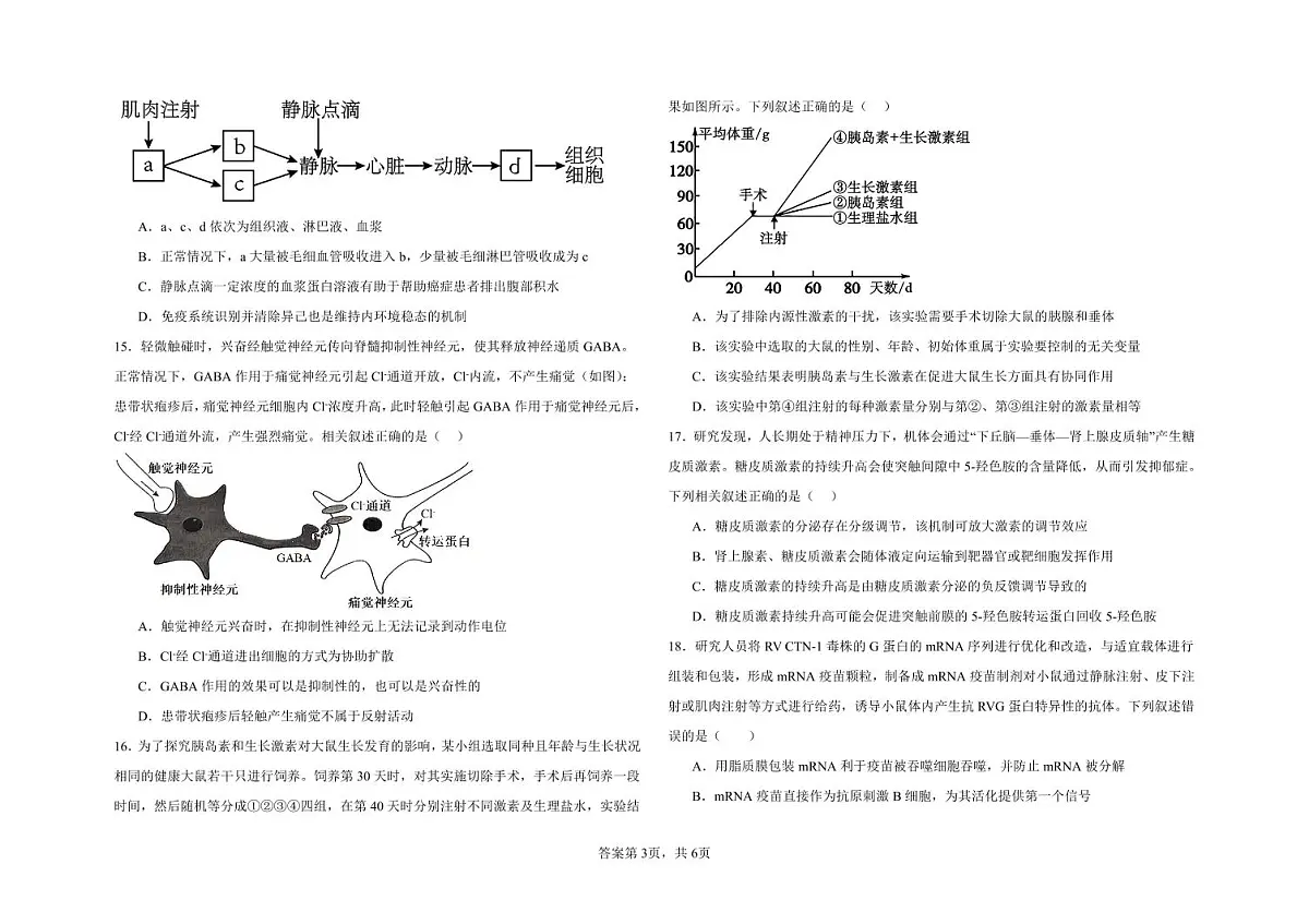 河北省邯郸市大名县第一中学2024-2025学年高二上学期10月月考生物试卷第3页