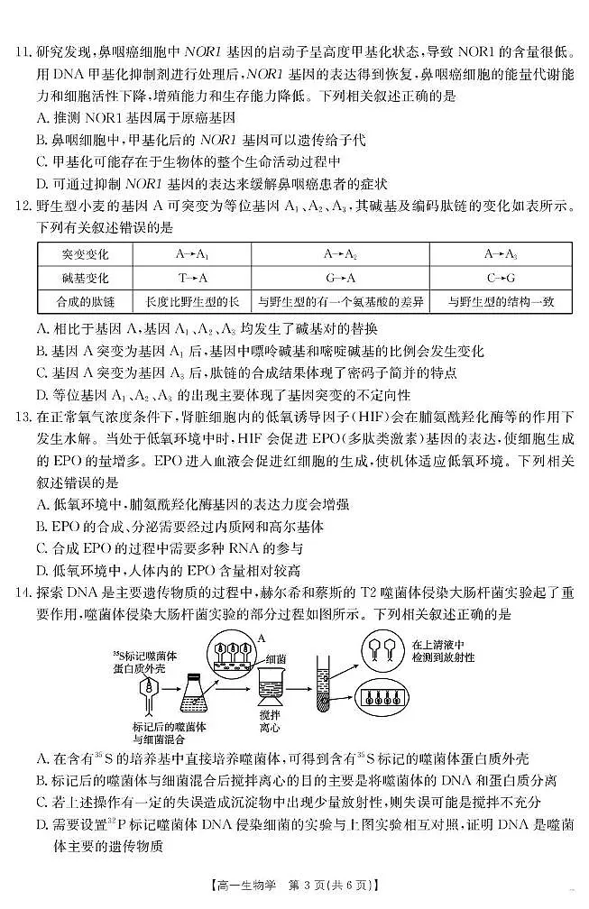 青海省2024-2025学年高一下学期6月联考 生物学第3页