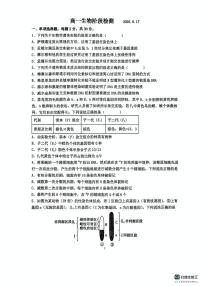山东省青岛市胶州市实验中学2024-2025学年高一下学期6月月考生物试题