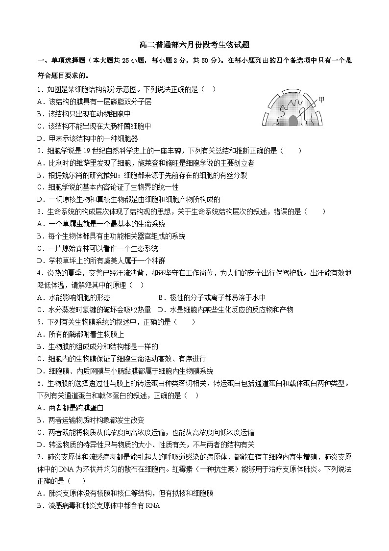山东省潍坊市青州第一中学2024-2025学年高二下学期6月月考生物试题第1页