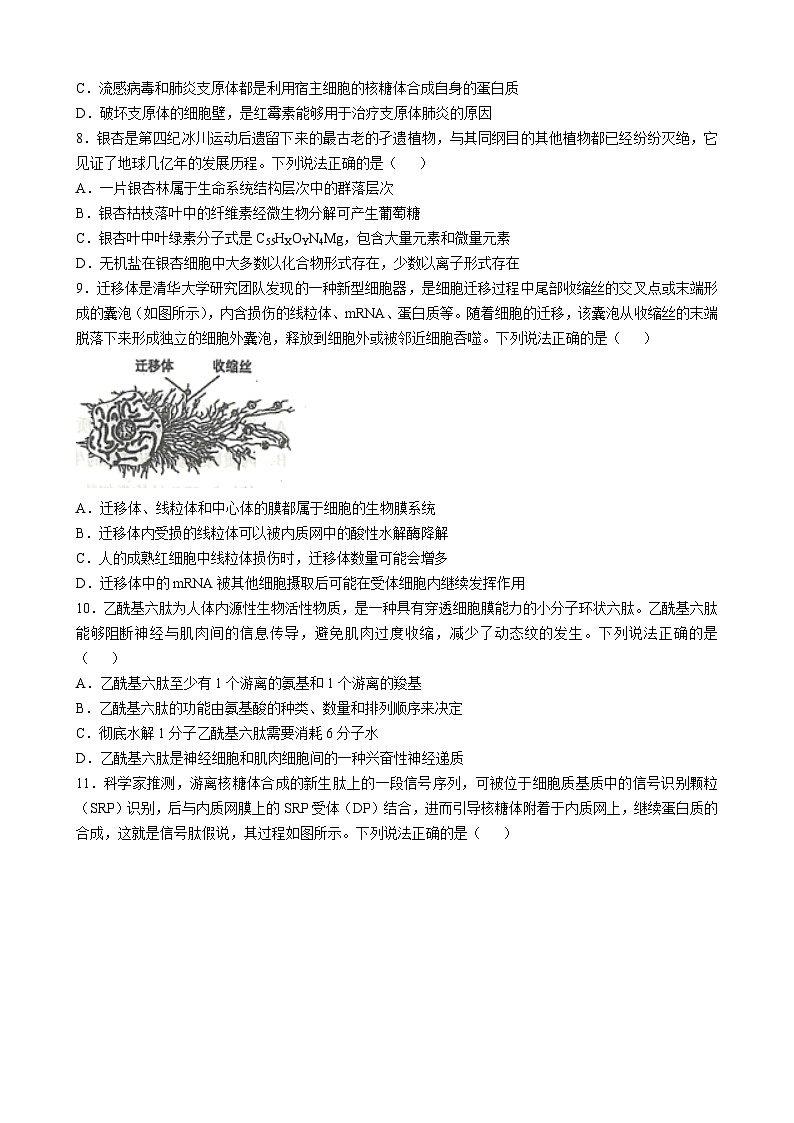 山东省潍坊市青州第一中学2024-2025学年高二下学期6月月考生物试题第2页