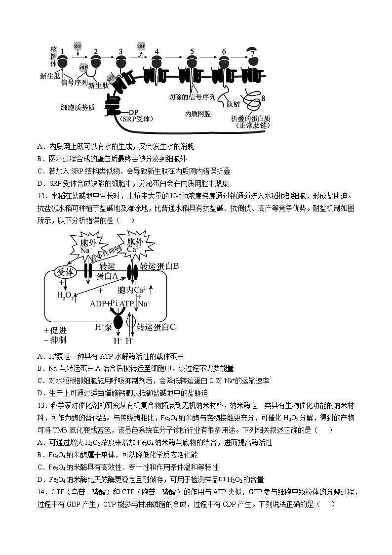 山东省潍坊市青州第一中学2024-2025学年高二下学期6月月考生物试题第3页
