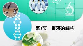 高中生物人教版 (新课标)必修3《稳态与环境》群落的结构复习ppt课件