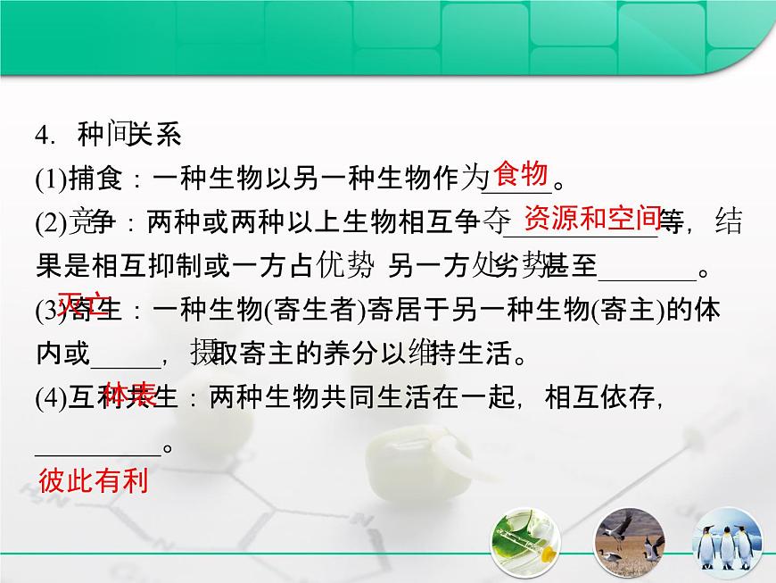 人教版 (新課標)高中生物必修3 4-3《群落的結構》復習課件第6頁