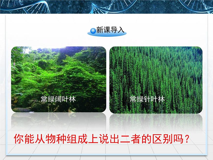 人教版 (新課標)高中生物必修3 4-3《群落的結(jié)構(gòu)》精品課件第2頁