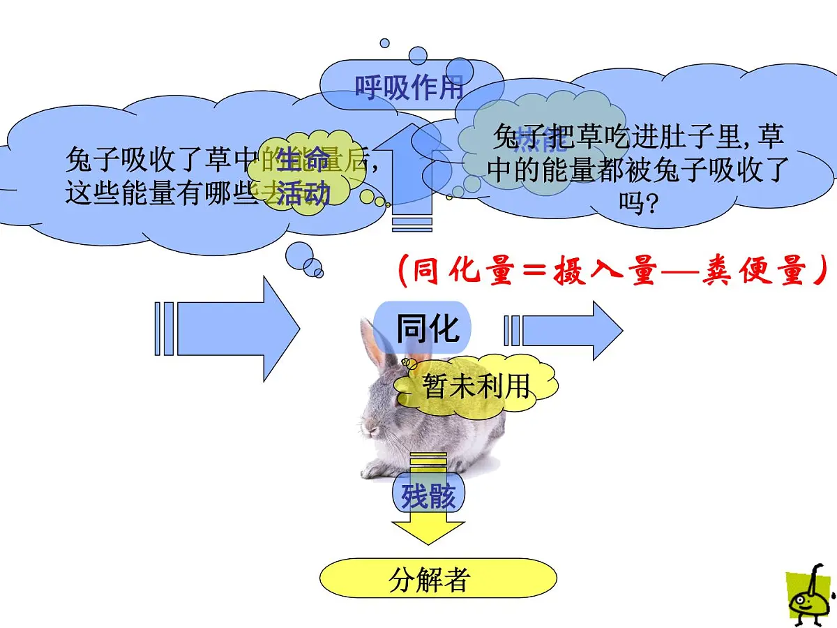 人教版 (新课标)高中生物必修3 5-2《生态系统的能量流动》(第1课时)课件第6页