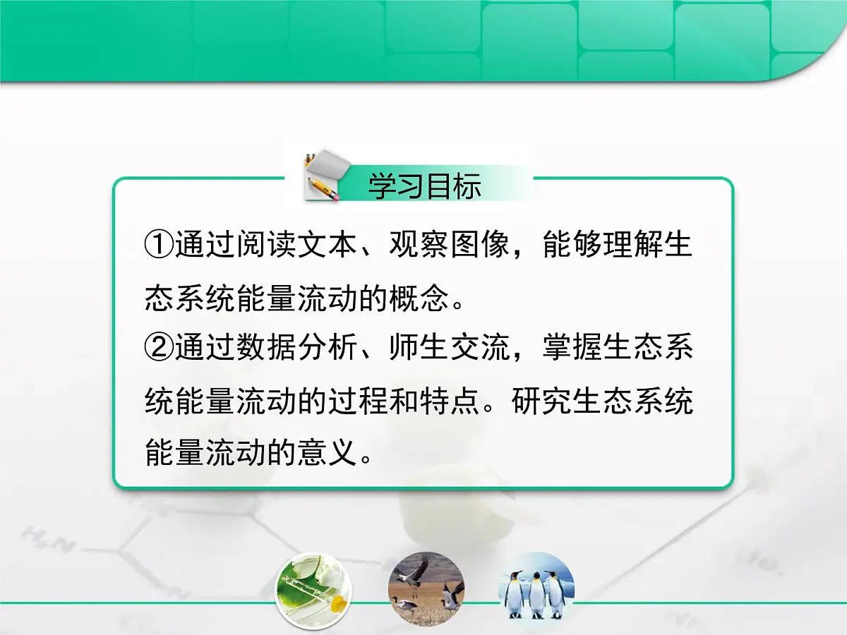 人教版 (新课标)高中生物必修3 5-2《生态系统的能量流动》课件第2页