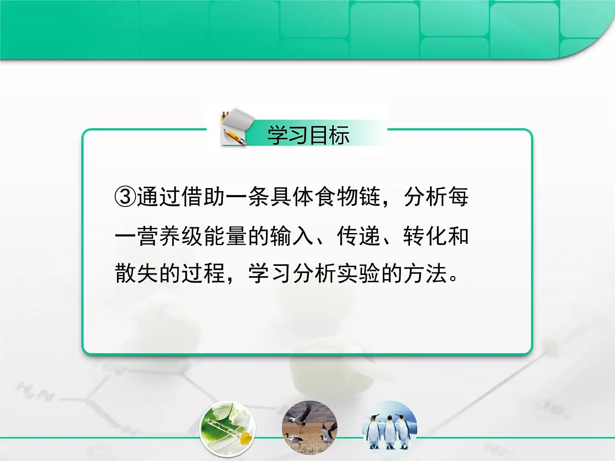 人教版 (新课标)高中生物必修3 5-2《生态系统的能量流动》课件第3页