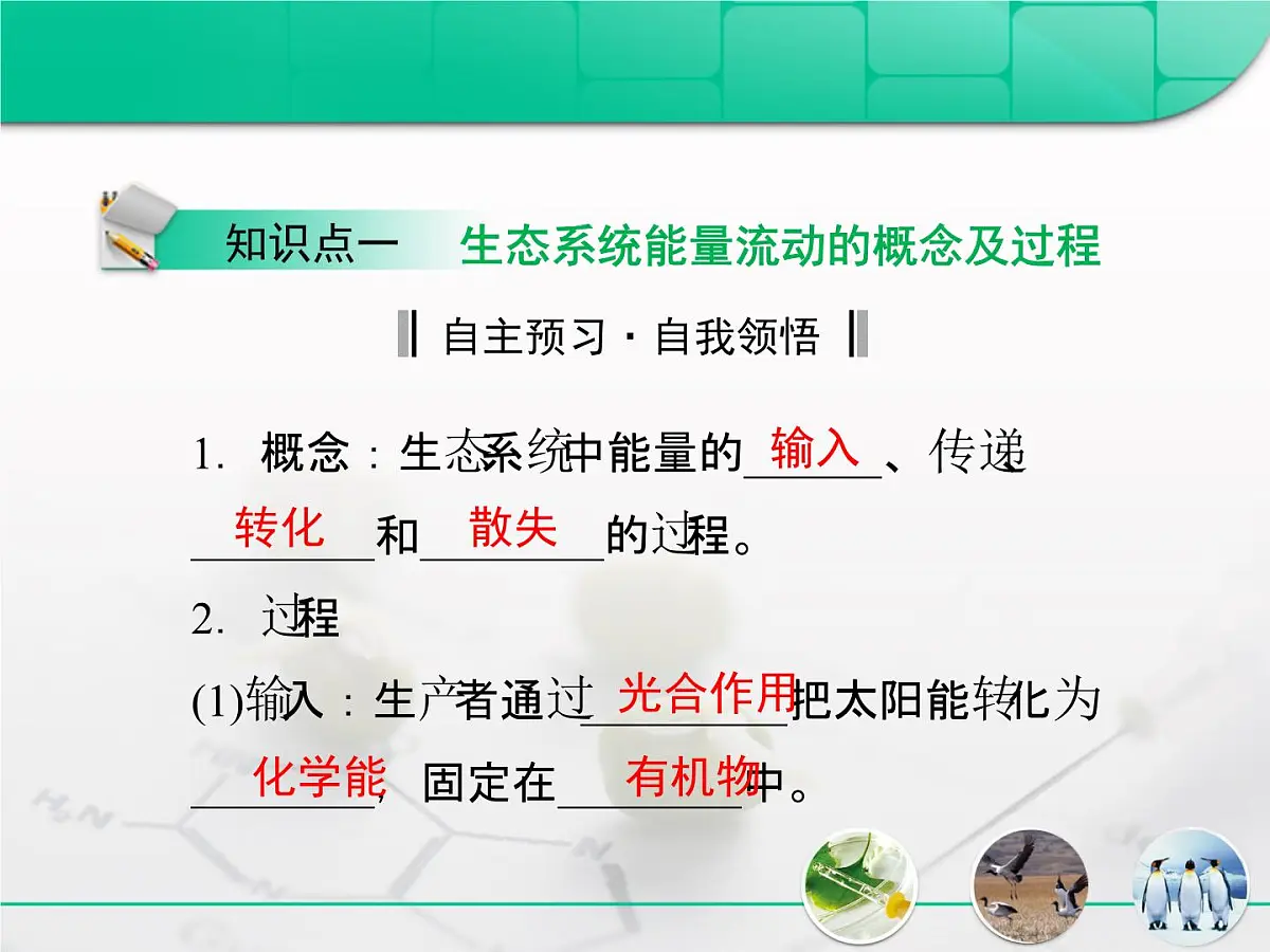 人教版 (新课标)高中生物必修3 5-2《生态系统的能量流动》课件第4页